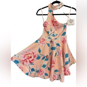 Angel Biba Peach and Blue Floral Sleeveless Midi Dress Sz 6